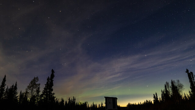 eternal sunset in the woods at 2am