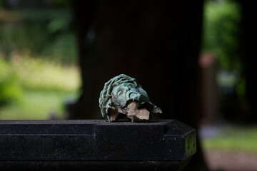 broken head of a crucifix on a tombstone