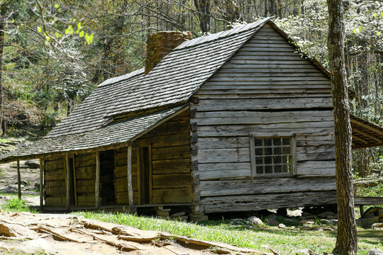 Bud Ogle Cabin in the Great Smoky Mountains