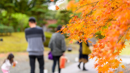子供・家族・紅葉風景(観光地)
Children / Family / Autumn leaves scenery (sightseeing...