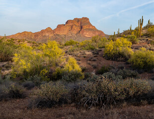 Landscape photograph of Red Mountain in the Sonoran Desert in spring