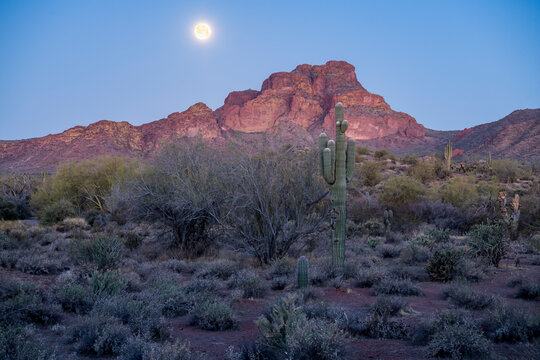 Landscape Photograph Of Red Mountain In Arizona. 