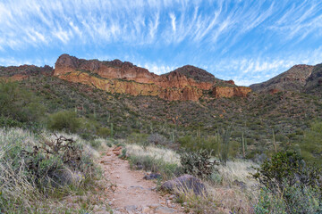 Landscape photograph of Usery Mountain Park in Mesa, Arizona.