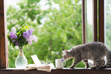Cute cat of the Scottish straight sitting and vase with flower lilac, open book on a vintage...