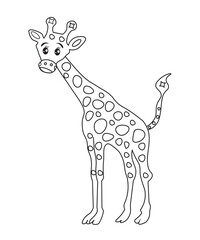 Giraffe SVG, Cute baby giraffe SVG, giraffe svg bundle, baby animals svg, cute animals svg, Zoo, Shirt, Baby Shower, birthday Kid svg
