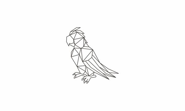 geometri parrot