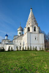 Fototapeta na wymiar The old Trinity Danilov Monastery
