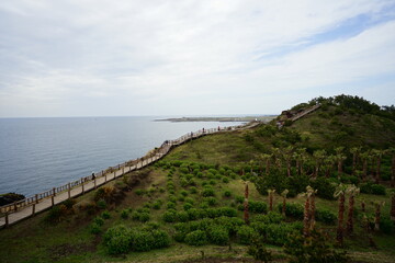 seaside cliff walkway and people