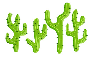 Set cactus plant. Botanical plants. Illustration of prickly cactus plant. Garden plants on a white background