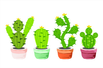 Set cactus plant. Botanical plant in pot. Illustration of prickly cactus plant. Garden plants on a white background