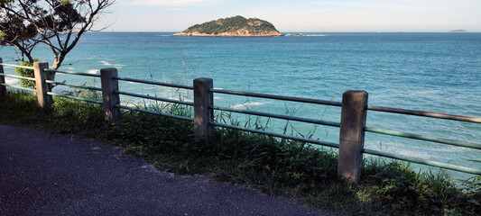 foliage leaf vegetation nature bush stone granite mineral plant green forest tropical environment stem flower root texture detail close up ivy background landscape life preservation pattern path stree