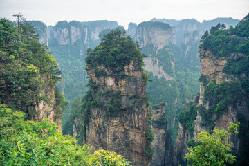 Avatar Hallelujah mountain behind the trees in Wulingyuan National Forest Park, Zhangjiajie, Hunan,...