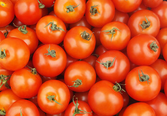 Tomatoes background. Many ripe tomatoes as pattern.