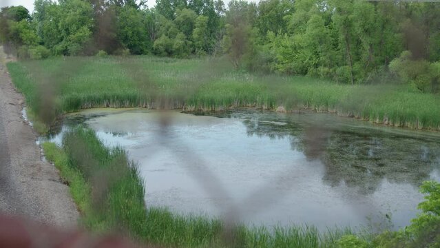 Pond Next To Train Tracks, Wide Shot, Slider, 4k Apple ProRes