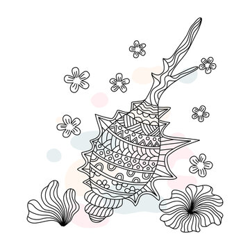 Shell Abstract Coloring