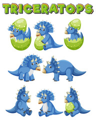 Different blue triceratops dinosaur collection © blueringmedia