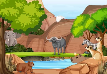 Various animals in the forest © blueringmedia