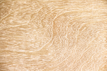 Brown wood skin natural background