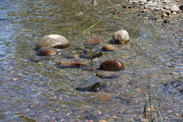 Piedras en el lago