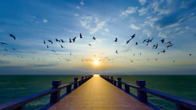 Sunset and seagulls flying freely at the seaside Wharf