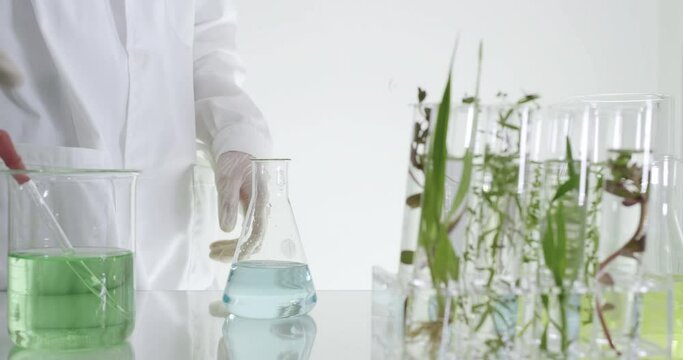 Sientist work with plant in test tubes in laboratory
