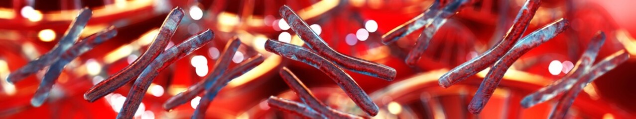 Chromosome, X chromosome, human gene, heredity, chromosome on a blurred background, 3D rendering