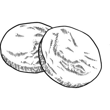 Hand Drawn English Muffins