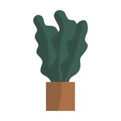 Hand drawn potted plant flat vector. Plants illustration isolated on white background.