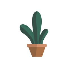 Hand drawn indoor plant in potted vector cartoon flat. Plants illustration isolated on white background.