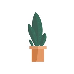 Hand drawn indoor plant in potted decorative plants for home and office vector flat. Plants illustration isolated on white background.