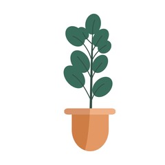 Hand drawn house plant in potted decorative plants for home and office vector flat. Plants illustration isolated on white background.