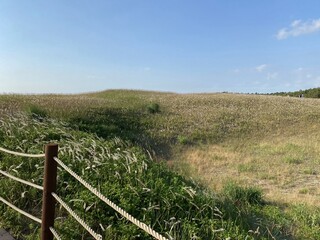 Fototapeta premium Sinduri Coastal Sand Dunes in Korea