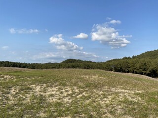 Sinduri Coastal Sand Dunes in Korea