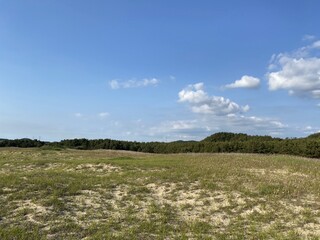 Sinduri Coastal Sand Dunes in Korea