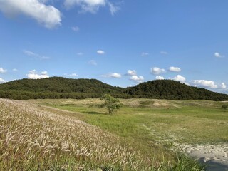 Sinduri Coastal Sand Dunes in Korea
