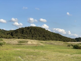 Sinduri Coastal Sand Dunes in Korea