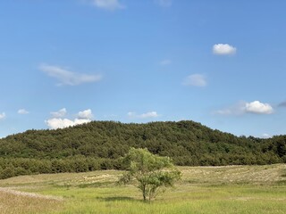 Sinduri Coastal Sand Dunes in Korea