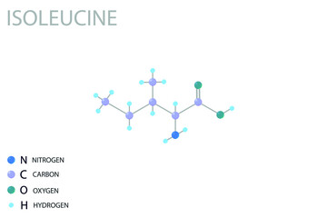Isoleucine molecular skeletal 3D chemical formula.	
