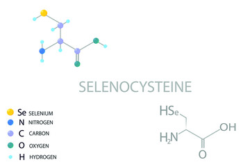 Selenocysteine molecular skeletal 3D chemical formula.	