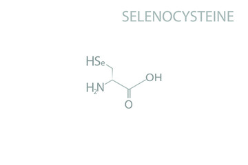 Selenocysteine molecular skeletal chemical formula.	