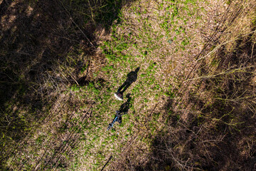 A man with a bicycle in the middle of a forest road, aerial view