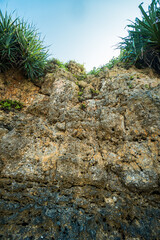 South Beach in Yogyakarta, Indonesia, which is famous for its big waves and big corals, is a popular tourist attraction
