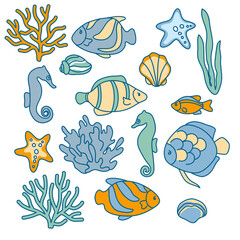 vector ocean seashells decorative molluslk sea vacation seaweeds star set collection vintage aquatic element
