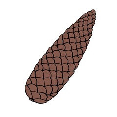 Vector brown fir spruce cone in flat doodle style. Color outline illustration, clipart, isolated