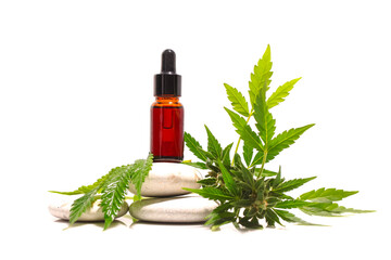 Fototapeta premium Medical marijuana 