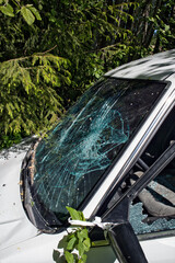 Obraz premium Abandoned car on the roadside forest after accident