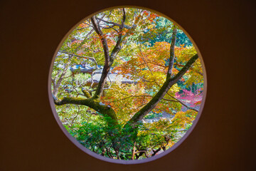 京都の八幡の善法律寺の円窓 - obrazy, fototapety, plakaty