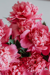 Pink peonies close up. copy space. Bouquet of lush beautiful peonies for background and wallpaper