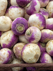 Freshly harvested raw Swedes root vegetables in a basket at a Farmers market