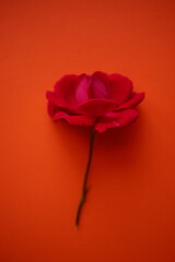 Pink rose flower on the orange table, art card